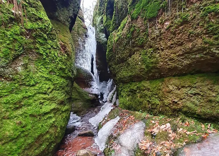 Appartement Schlothauer 1